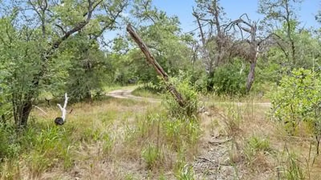 8801 Scarlet Circle Austin TX 78737