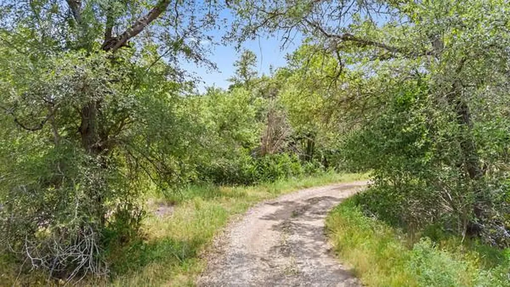 8801 Scarlet Circle Austin TX 78737