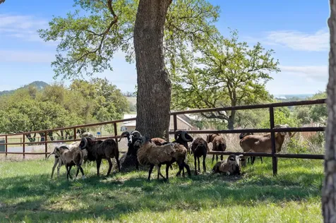 283 Soaring Eagles Drive Fredericksburg TX 78624