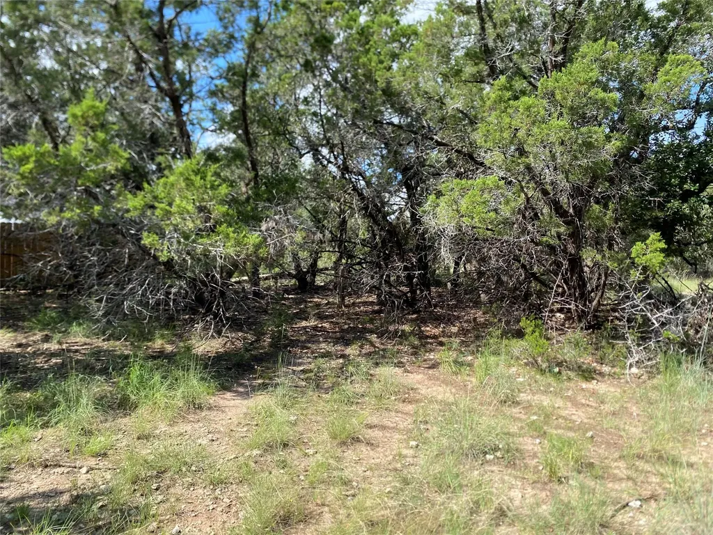 21105 Santa Rosa Avenue Lago Vista TX 78645