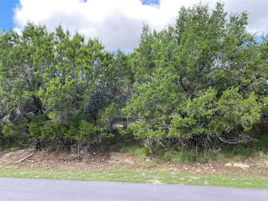 21105 Santa Rosa Avenue Lago Vista TX 78645
