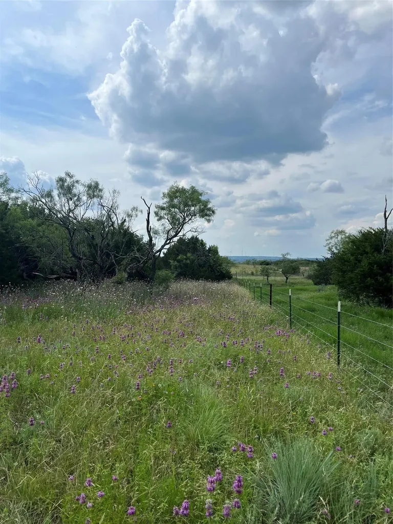 1745 County Road 2773 Lometa TX 76853