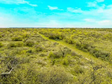 117 Private Road 541 Brady TX 76852