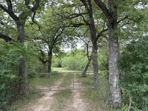 Tbd Anchor Ranch Loop Flatonia TX 78941