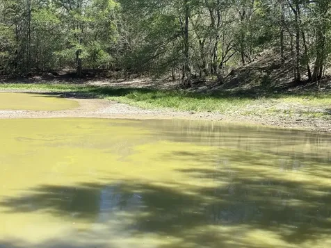 Tbd Anchor Ranch Loop Flatonia TX 78941