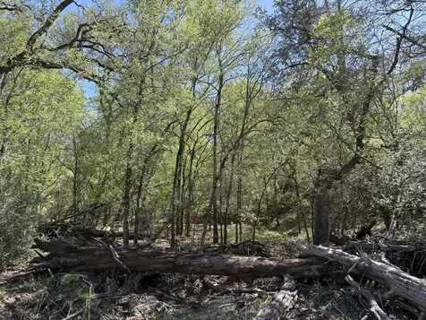 Tbd Anchor Ranch Loop Flatonia TX 78941