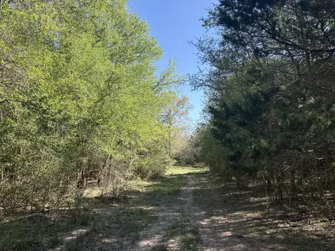 Tbd Anchor Ranch Loop Flatonia TX 78941
