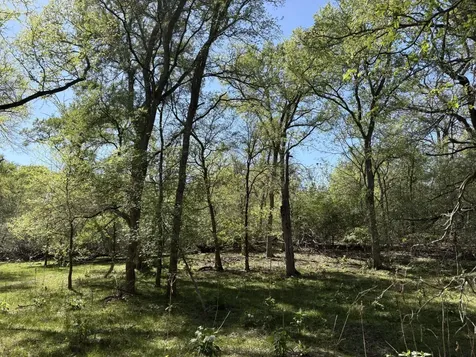 Tbd Anchor Ranch Loop Flatonia TX 78941