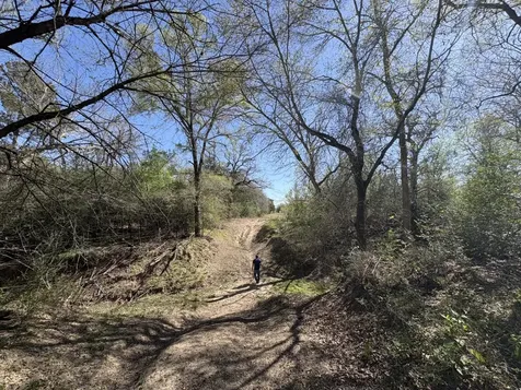 Tbd Anchor Ranch Loop Flatonia TX 78941