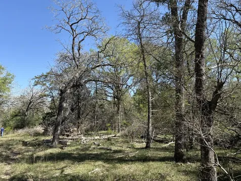 Tbd Anchor Ranch Loop Flatonia TX 78941