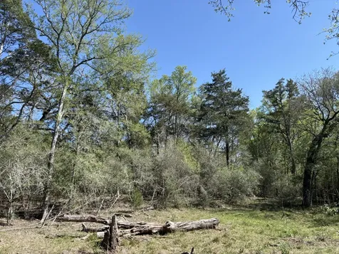 Tbd Anchor Ranch Loop Flatonia TX 78941