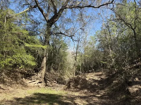Tbd Anchor Ranch Loop Flatonia TX 78941