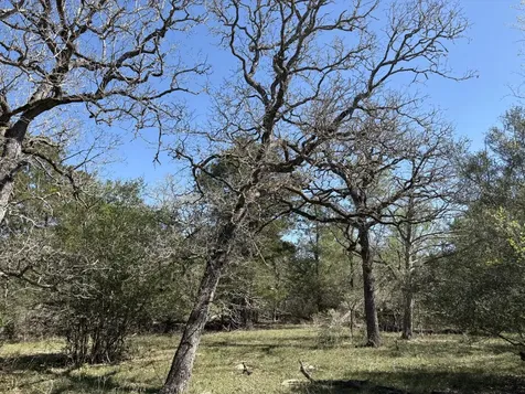 Tbd Anchor Ranch Loop Flatonia TX 78941