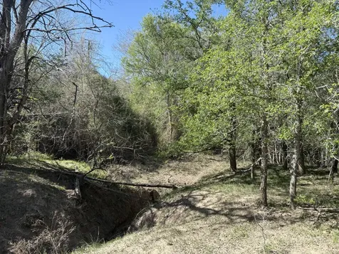 Tbd Anchor Ranch Loop Flatonia TX 78941