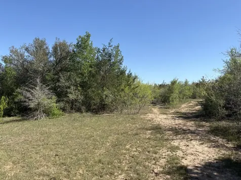 Tbd Anchor Ranch Loop Flatonia TX 78941