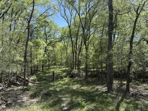 Tbd Anchor Ranch Loop Flatonia TX 78941