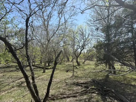 Tbd Anchor Ranch Loop Flatonia TX 78941