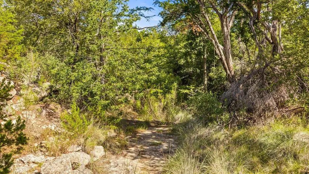1101 Windy Hills Road Dripping Springs TX 78620