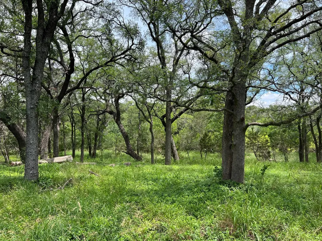 Tbd Lot Pt 19 Narrows Road Blanco TX 78606