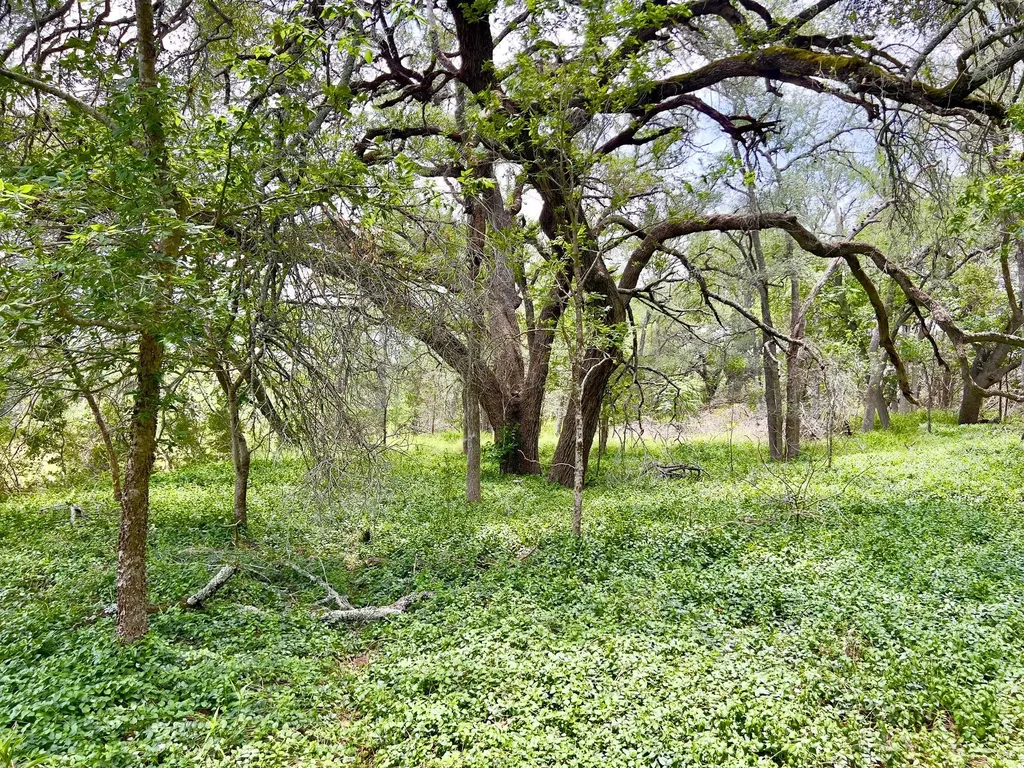 Tbd Lot Pt 19 Narrows Road Blanco TX 78606