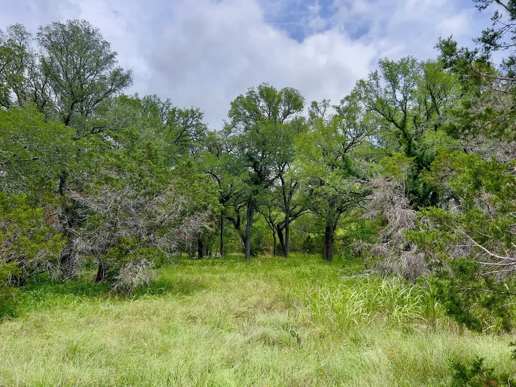 Tbd Lot Pt 19 Narrows Road Blanco TX 78606