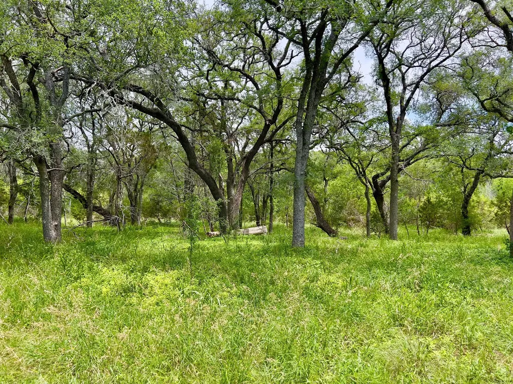 Tbd Lot Pt 19 Narrows Road Blanco TX 78606
