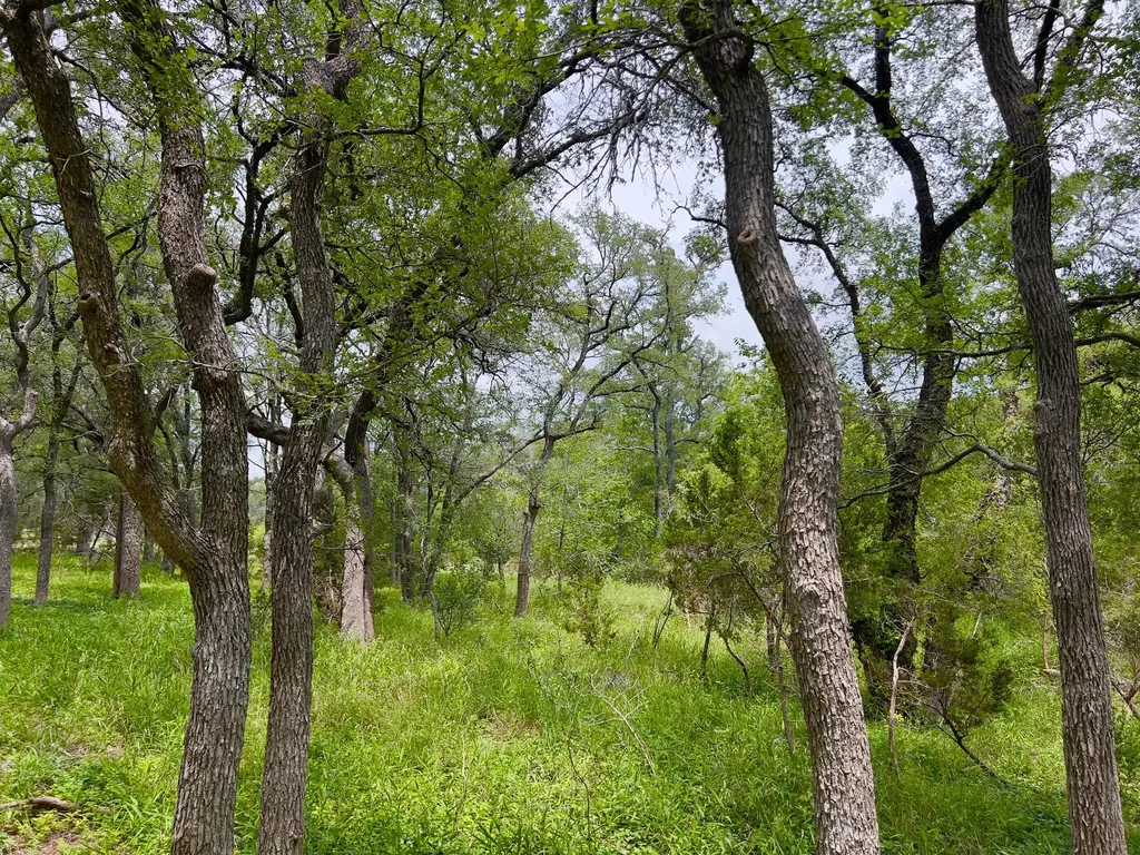 Tbd Lot Pt 19 Narrows Road Blanco TX 78606