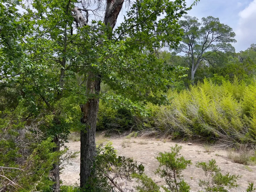 Tbd Lot Pt 19 Narrows Road Blanco TX 78606