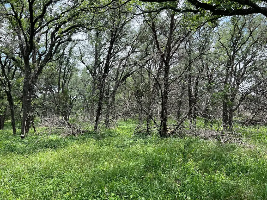 Tbd Lot Pt 19 Narrows Road Blanco TX 78606