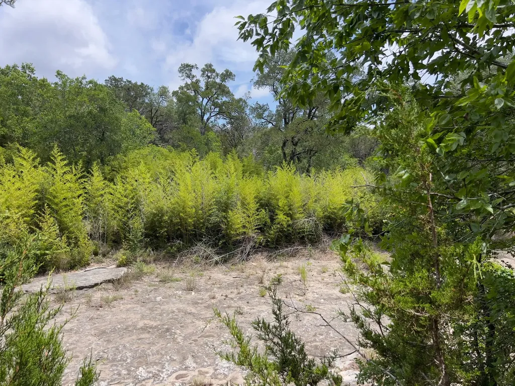 Tbd Lot Pt 19 Narrows Road Blanco TX 78606