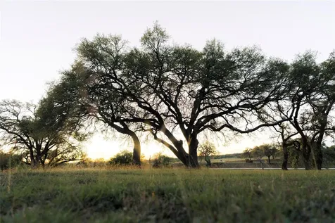 157 Chick Ranch Loop Blanco TX 78606