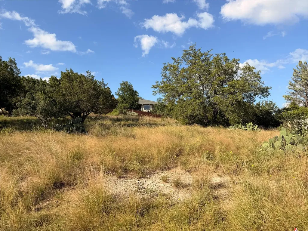20802 Madison Cove Lago Vista TX 78645