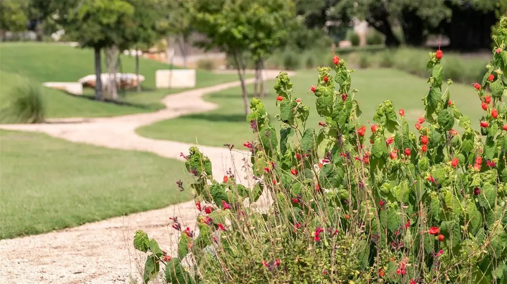 1317 Jolie Rose Bend Leander TX 78641