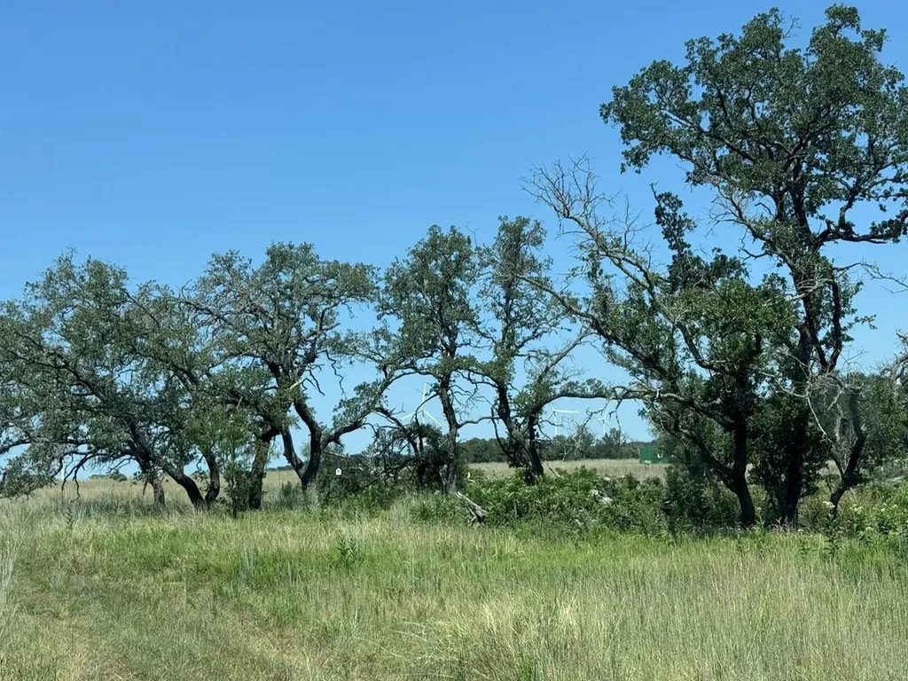 57 County Road 330 Goldthwaite TX 76844