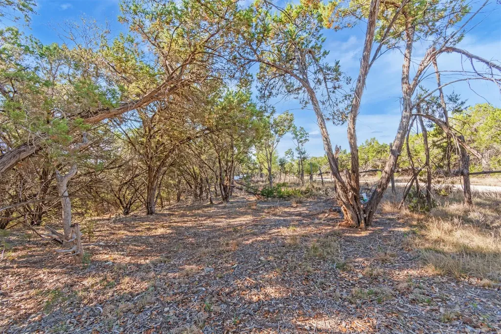196 Lakewood Court Canyon Lake TX 78133