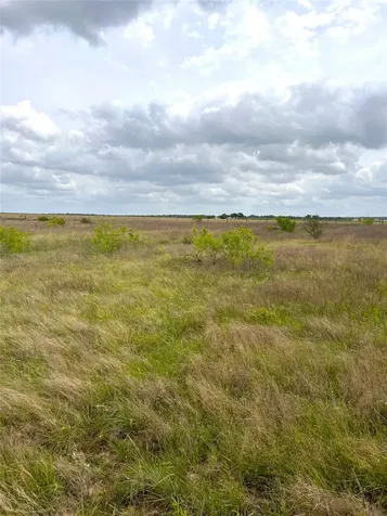 Tbd Lot 2 Fm 112 Roads Thrall TX 76578