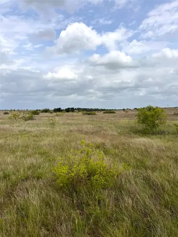Tbd Lot 2 Fm 112 Roads Thrall TX 76578