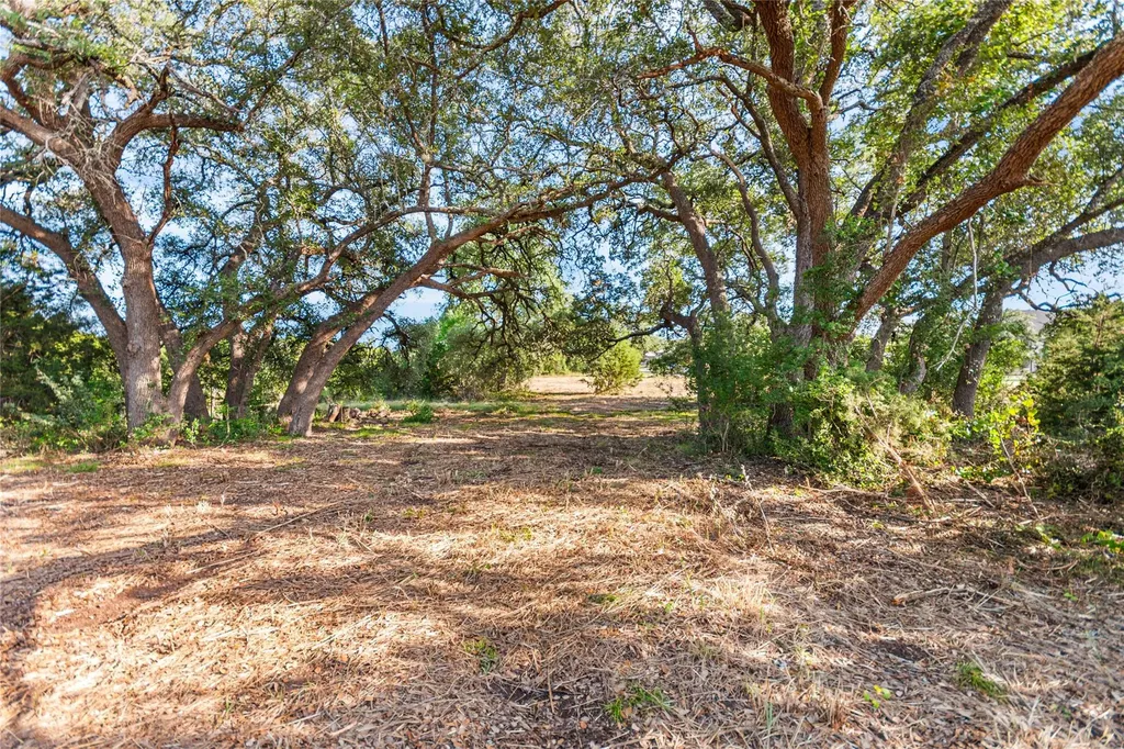 Lot 160 Brumley View Court Marble Falls TX 78654