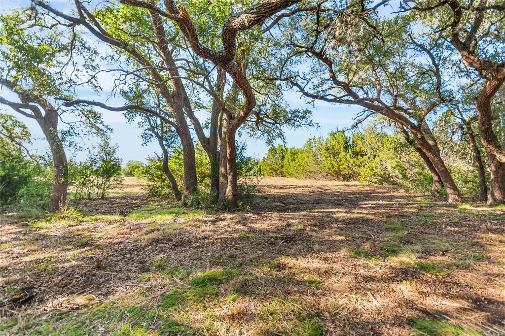 Lot 160 Brumley View Court Marble Falls TX 78654