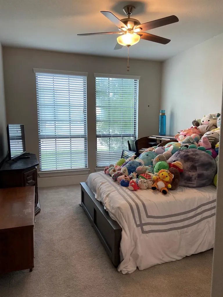 401 Millard Street Georgetown TX 78628