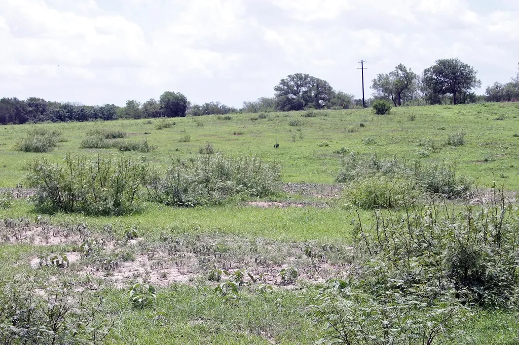 9411 Fm 86 Highway Lockhart TX 78644