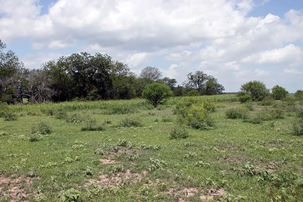 9411 Fm 86 Highway Lockhart TX 78644