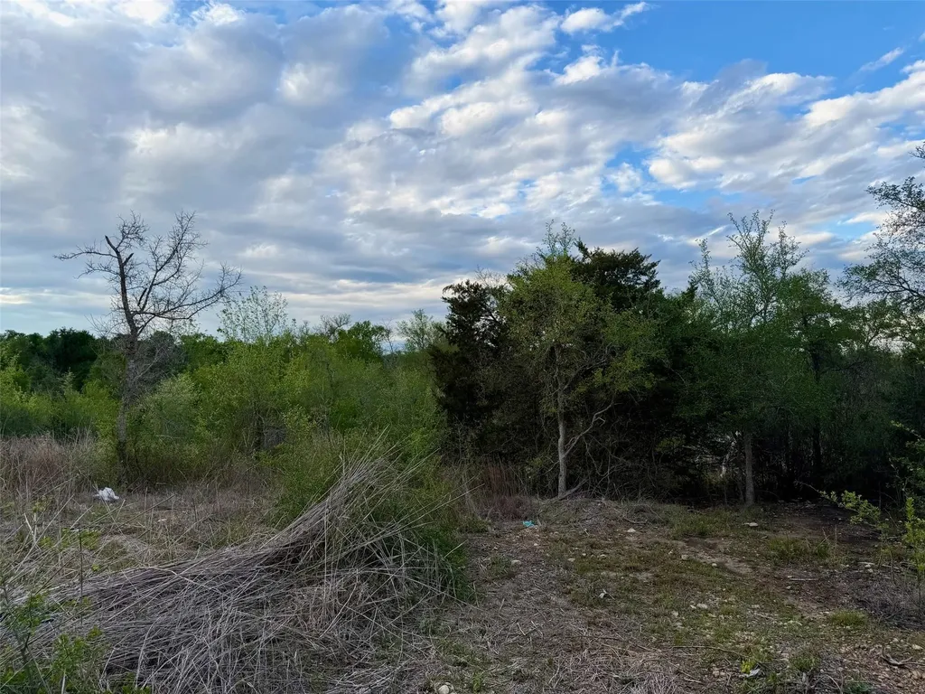 309 Oak Arbor Trail Del Valle TX 78617