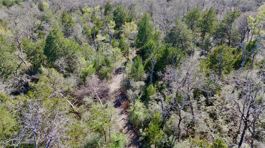 100 Pr 617 Roads Kosse TX 76652