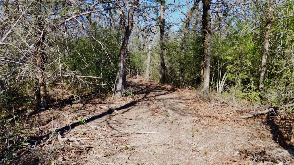 100 Pr 617 Roads Kosse TX 76652