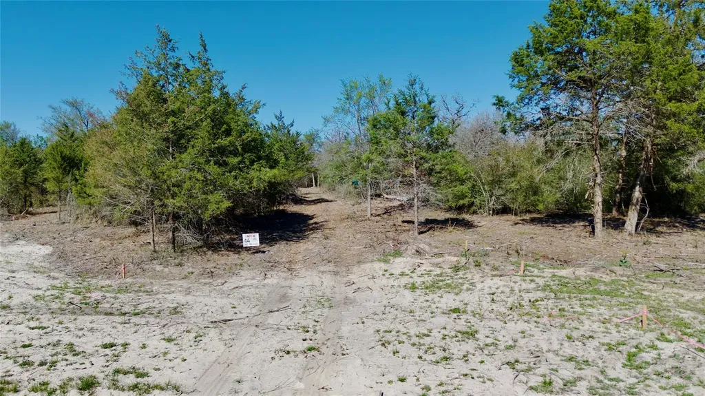 100 Pr 617 Roads Kosse TX 76652