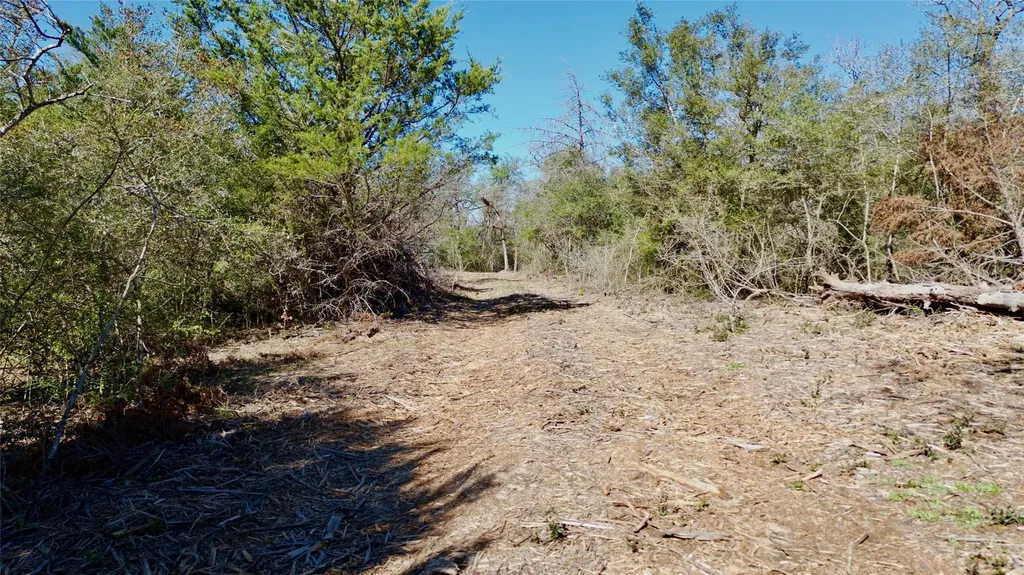 100 Pr 617 Roads Kosse TX 76652