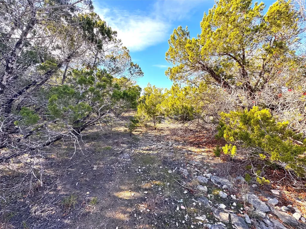 985 Oblate Drive Canyon Lake TX 78133