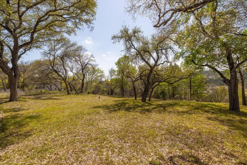 10314 W Darleen Drive Leander TX 78641