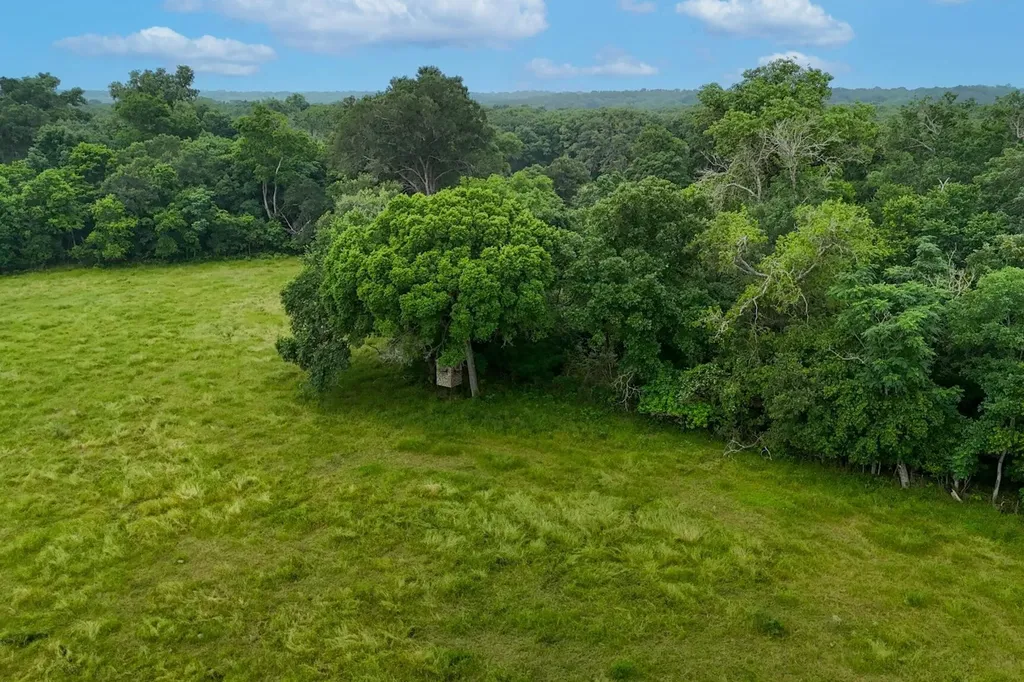 645 Jerrys Creek Lockhart TX 78644